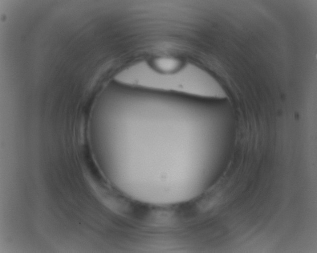 X0000062870694200601131011