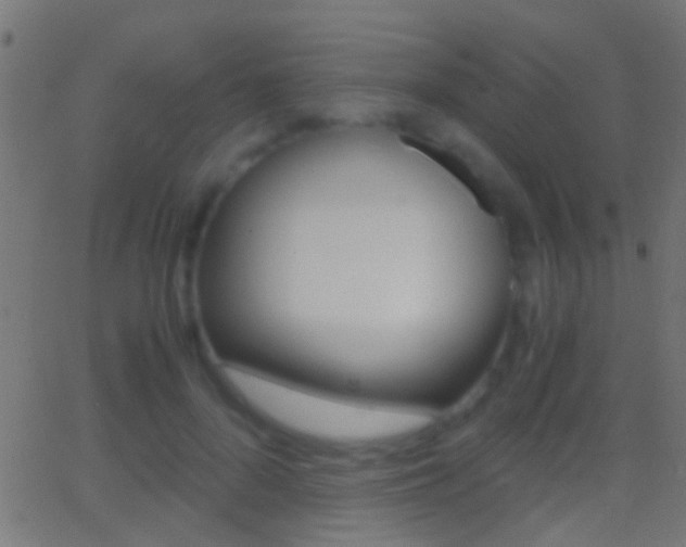 X0000062870696200601131011