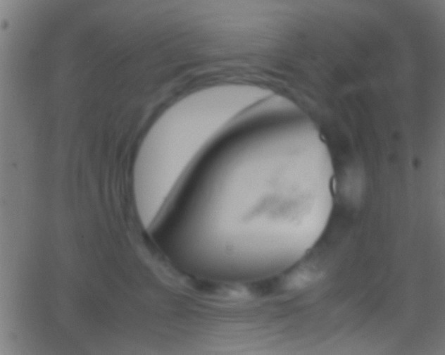 X0000062870715200601131011