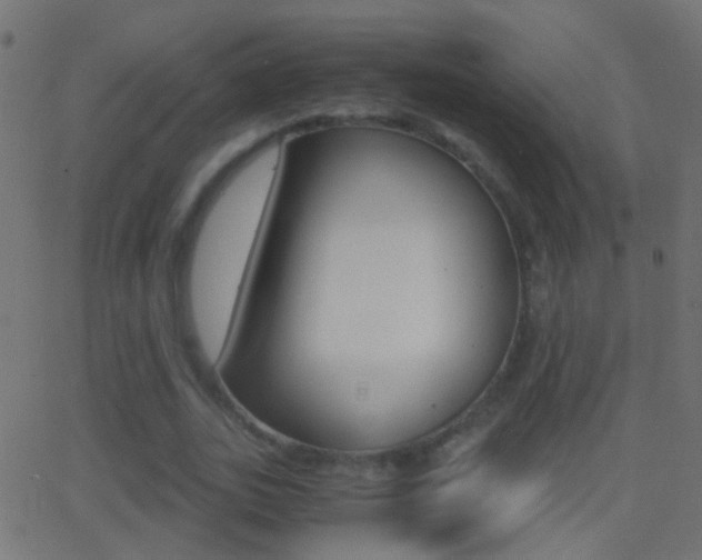 X0000062870727200601131010
