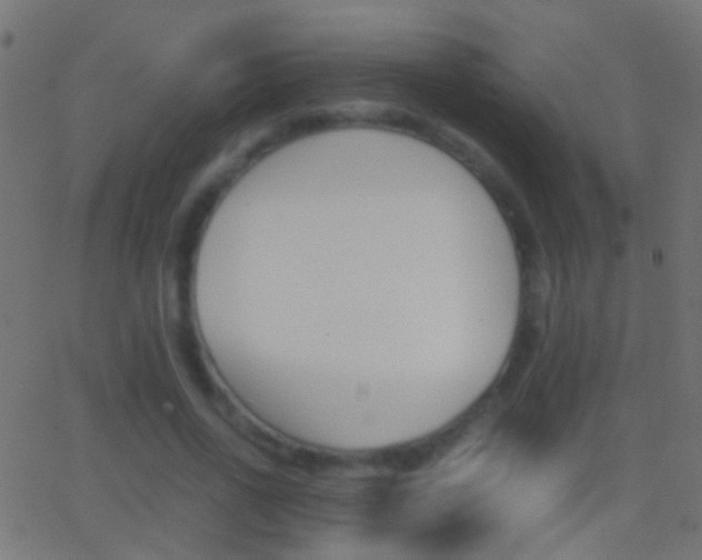 X0000062870734200601131010