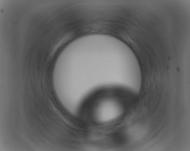 X0000062870735200601131010