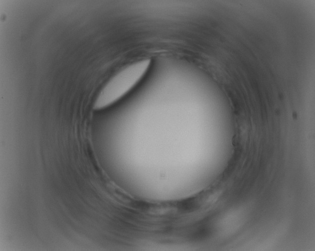X0000062870745200601131010