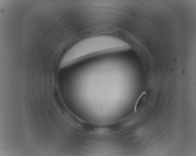 X0000062870748200601131010