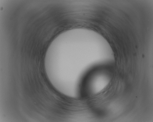 X0000062870750200601131010