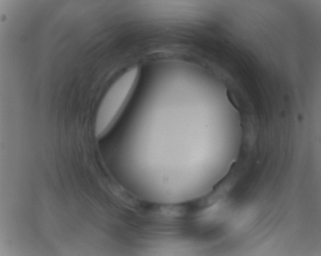 X0000062870758200601131010