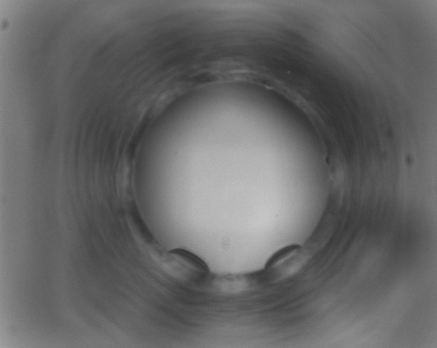 X0000062870767200601131011