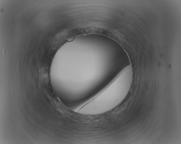 X0000062870771200601131010