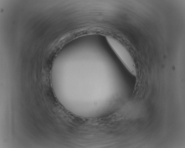 X0000062870773200601131010