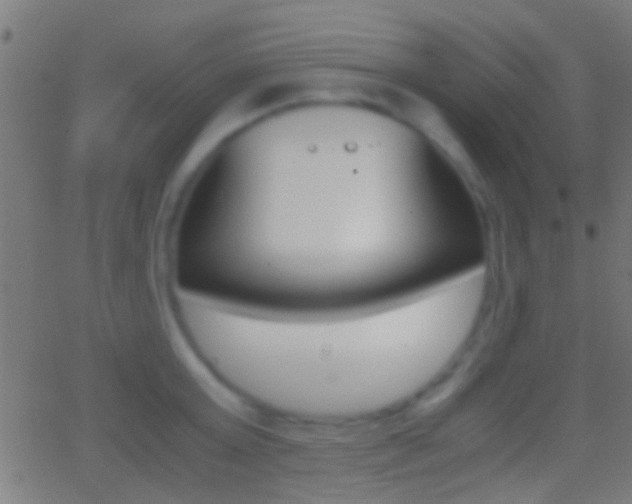 X0000062870803200601131009