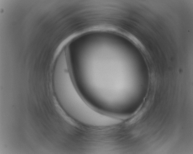 X0000062870854200601131009