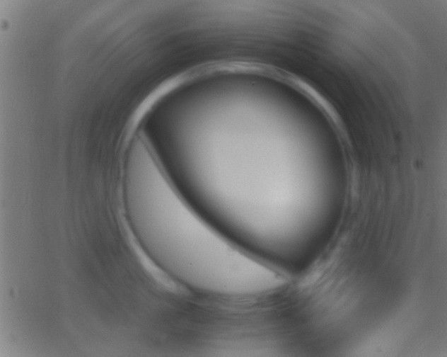 X0000062870861200601131009