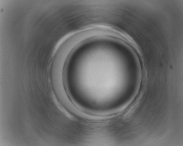 X0000062870862200601131009