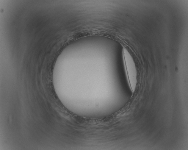 X0000062870865200601131008