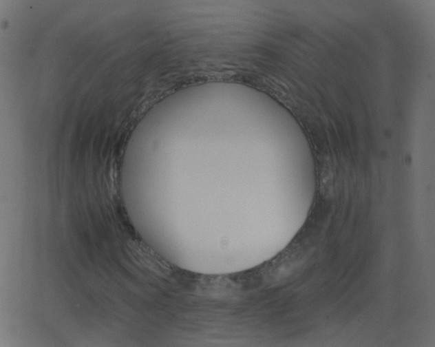 X0000062870866200601131008