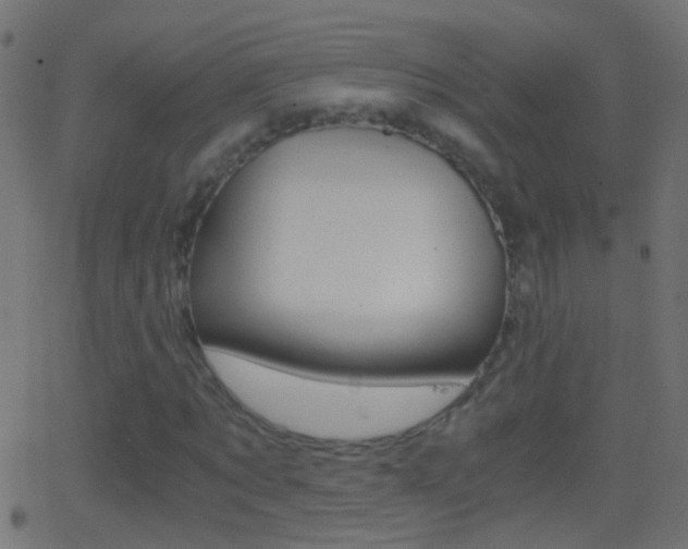 X0000062870869200601131008