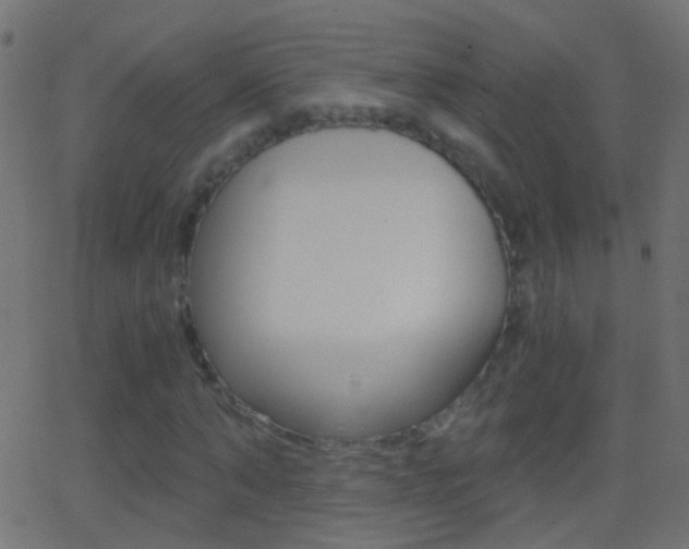 X0000062870870200601131008