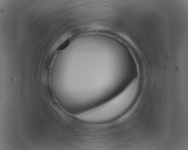 X0000062870873200601131008