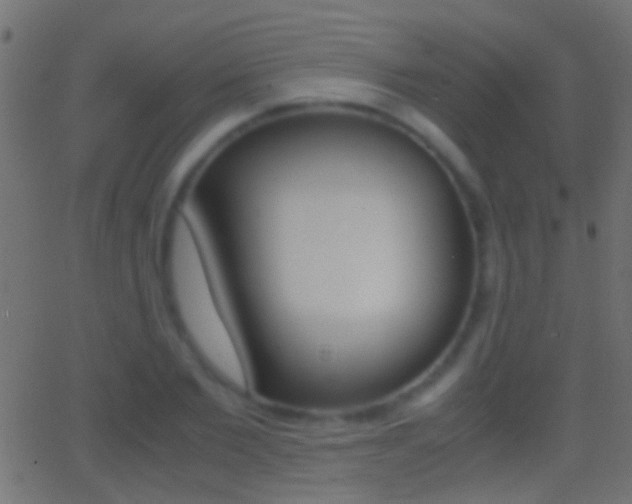 X0000062870885200601131008