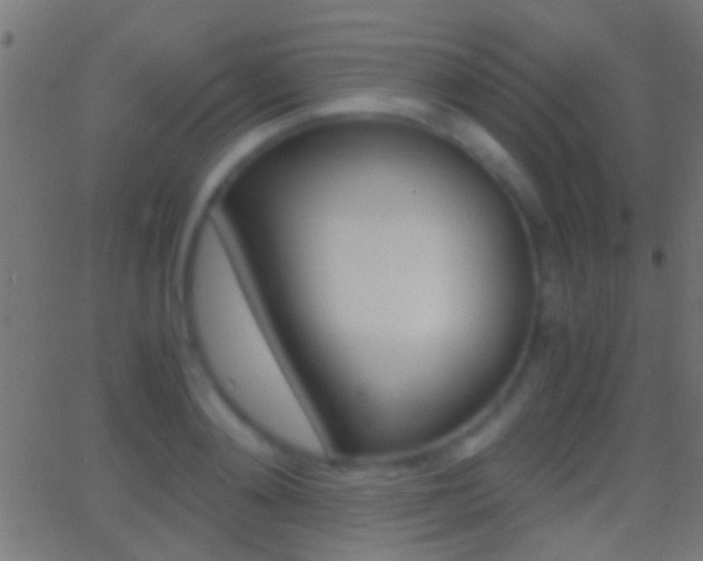 X0000062870892200601131008