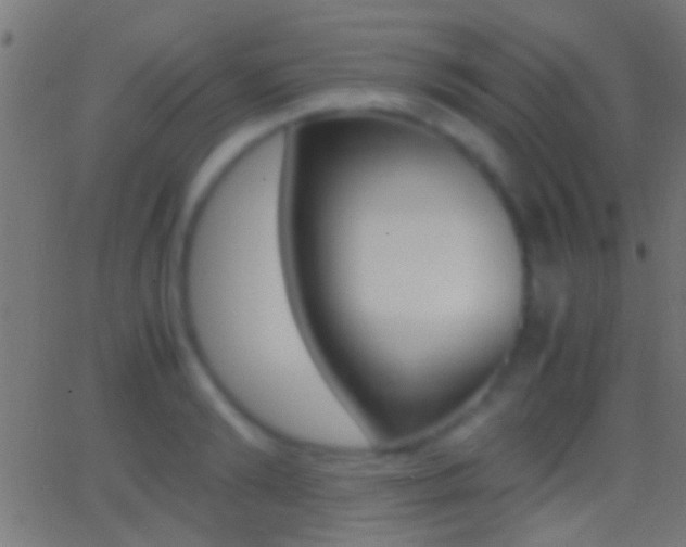 X0000062870894200601131008