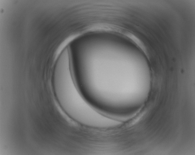 X0000062870901200601131008