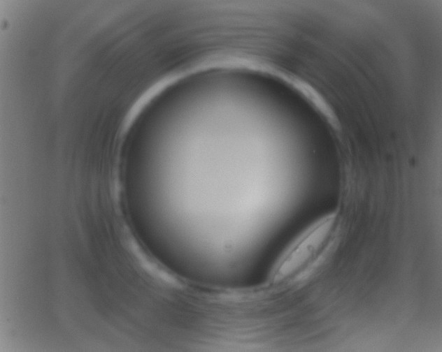 X0000062870904200601131007