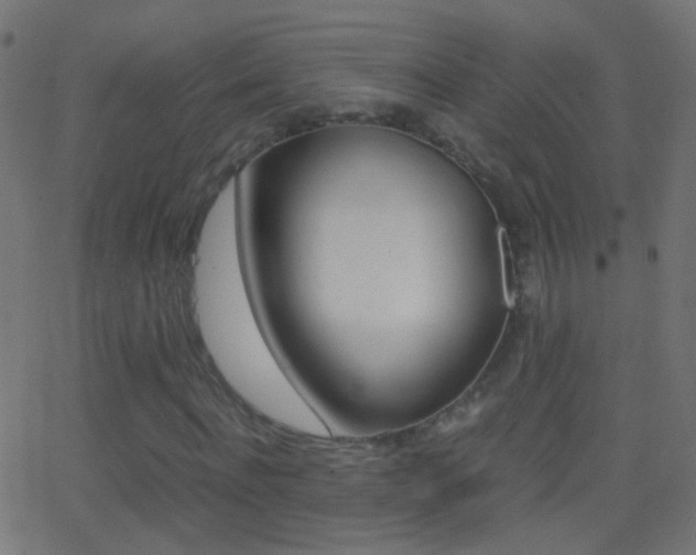X0000062870916200601131007