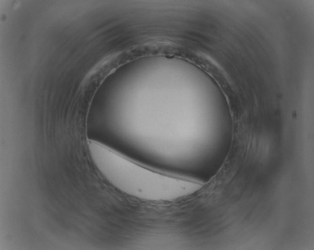 X0000062870919200601131007