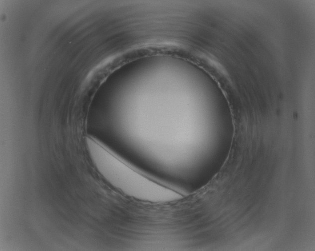 X0000062870920200601131007