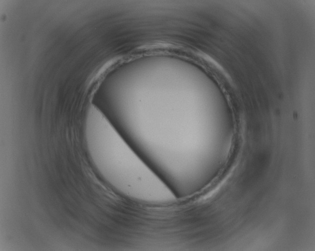 X0000062870921200601131007