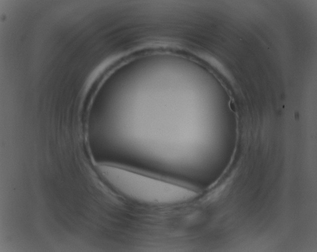 X0000062870927200601131007
