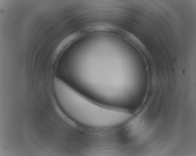 X0000062870938200601131007
