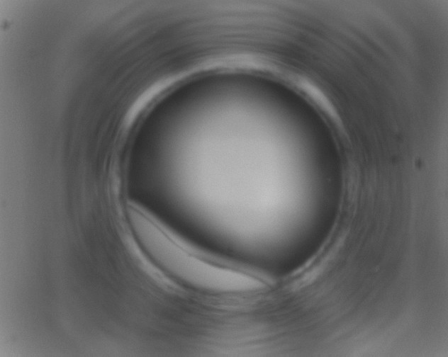 X0000062870944200601131007