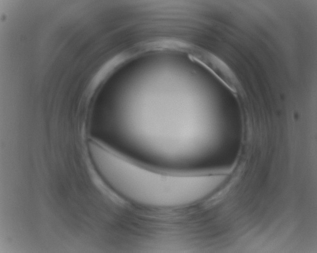 X0000062870946200601131007