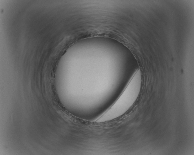 X0000062870961200601131006