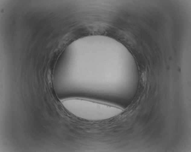 X0000062870963200601131006