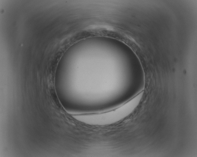 X0000062870965200601131006