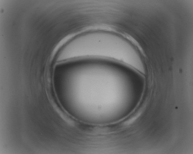 X0000062870981200601131006