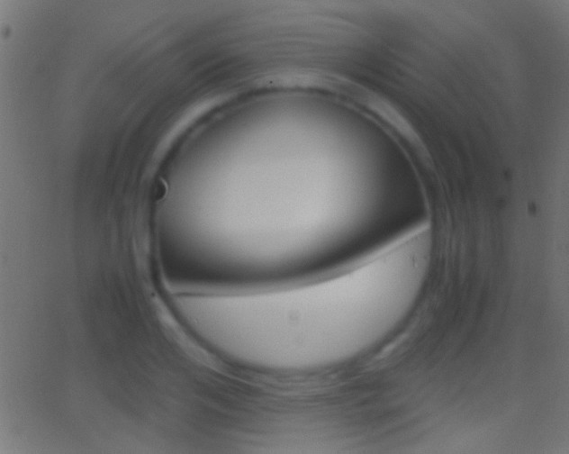 X0000062870984200601131006