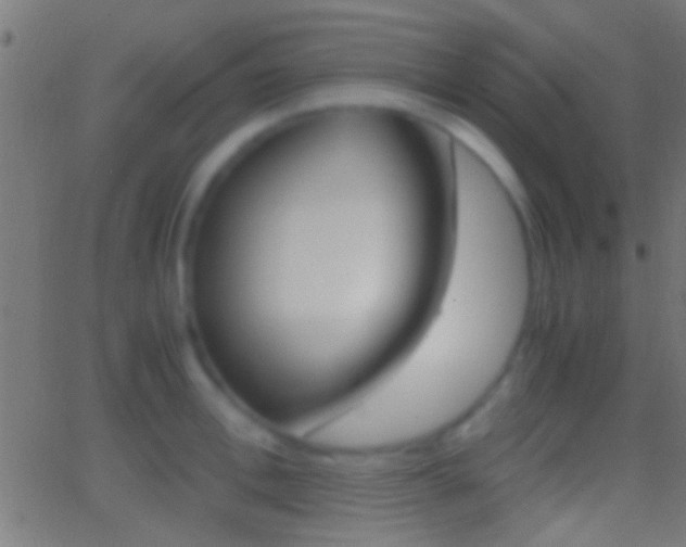 X0000062870996200601131006