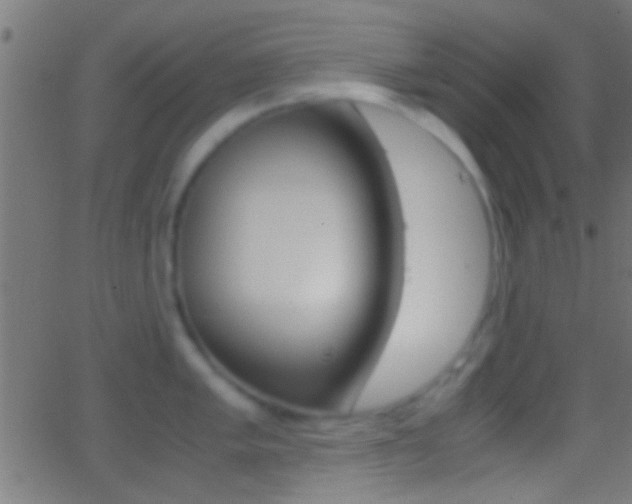 X0000062871005200601131006