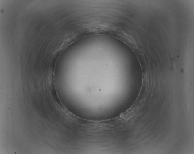 X0000062871012200601131005