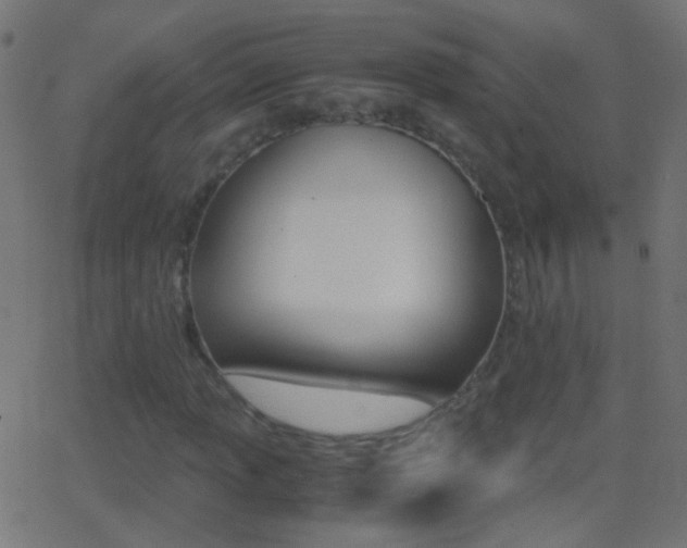 X0000062871013200601131005