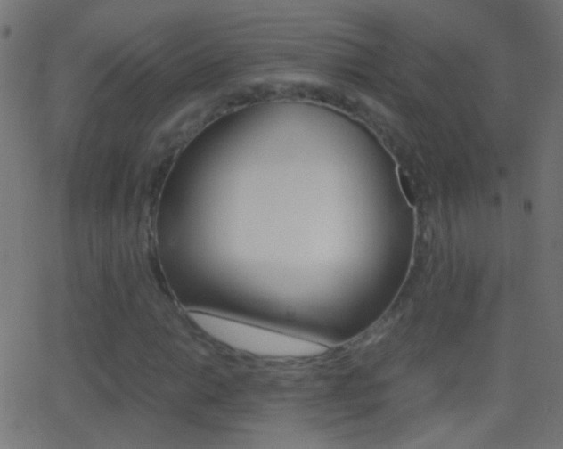 X0000062871014200601131005