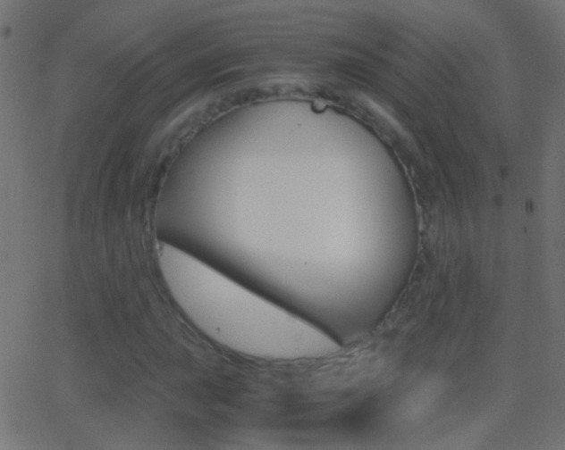 X0000062871015200601131005