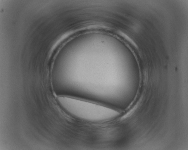 X0000062871021200601131005