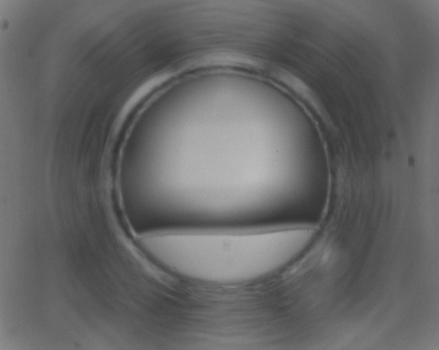 X0000062871024200601131005