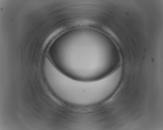 X0000062871026200601131005