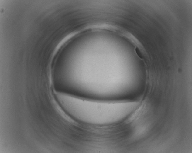 X0000062871036200601131005